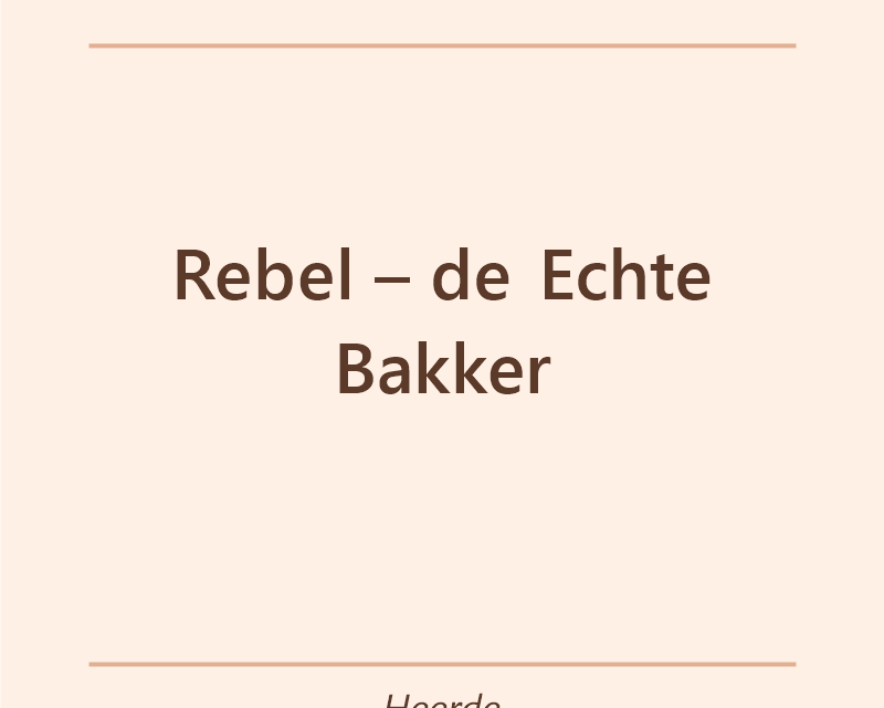 Verjaardagstaart bakker Rebel – de Echte Bakker in Heerde